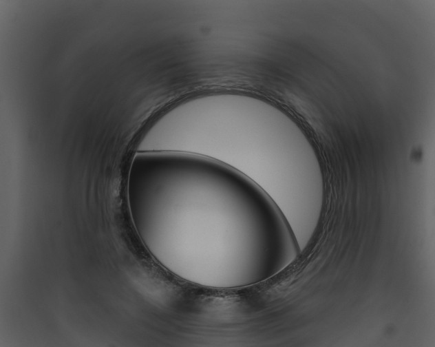 X0000090420548200707130949