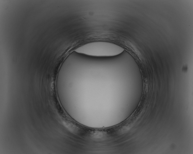 X0000090420549200707130949