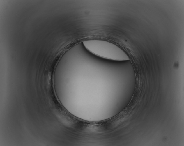 X0000090420550200707130949
