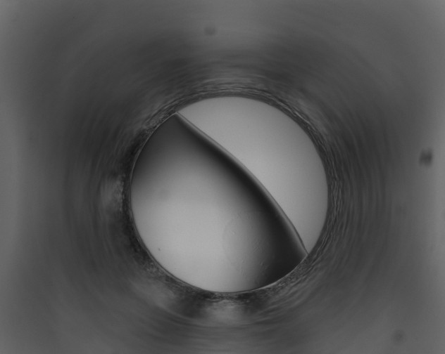 X0000090420551200707130949