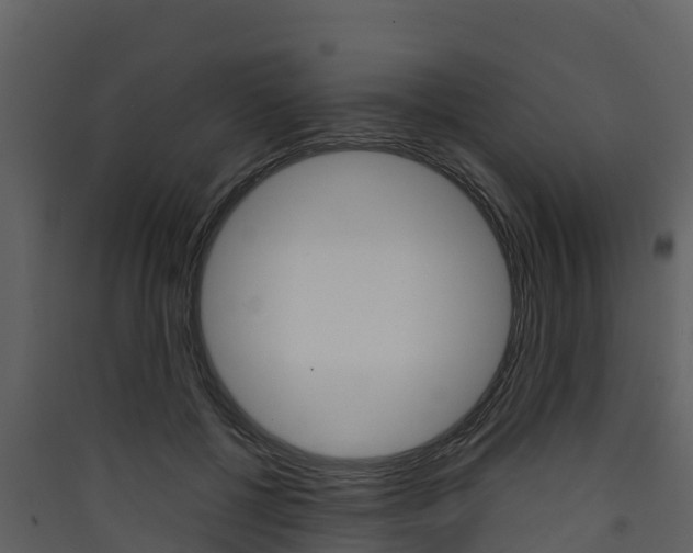 X0000090420552200707130949