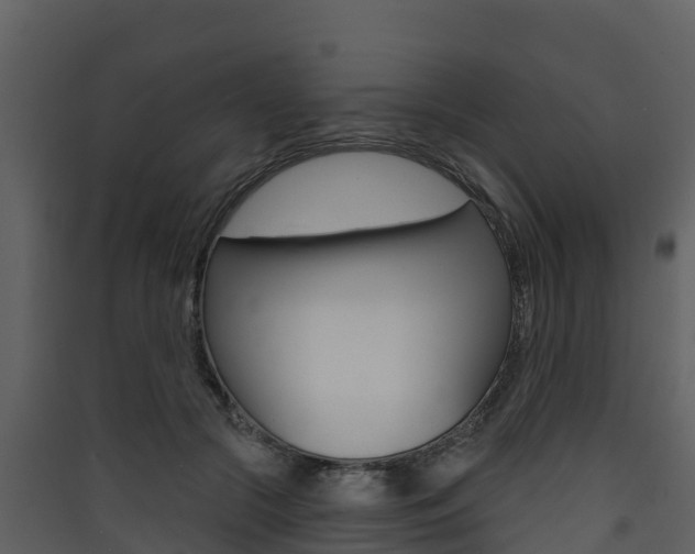 X0000090420553200707130949