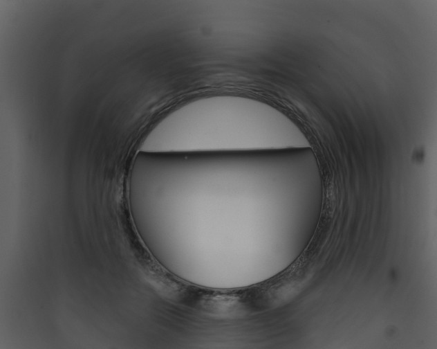 X0000090420554200707130949