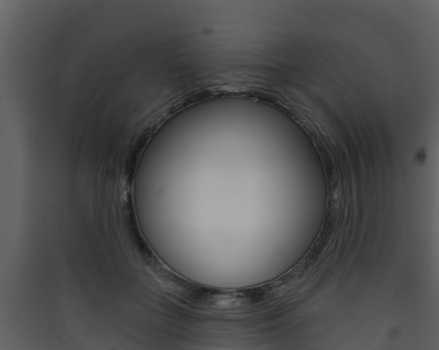 X0000090420555200707130949