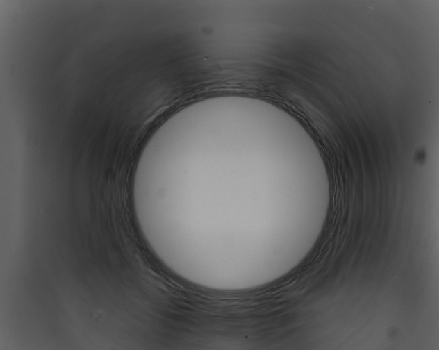 X0000090420556200707130949