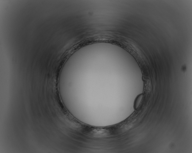 X0000090420557200707130949