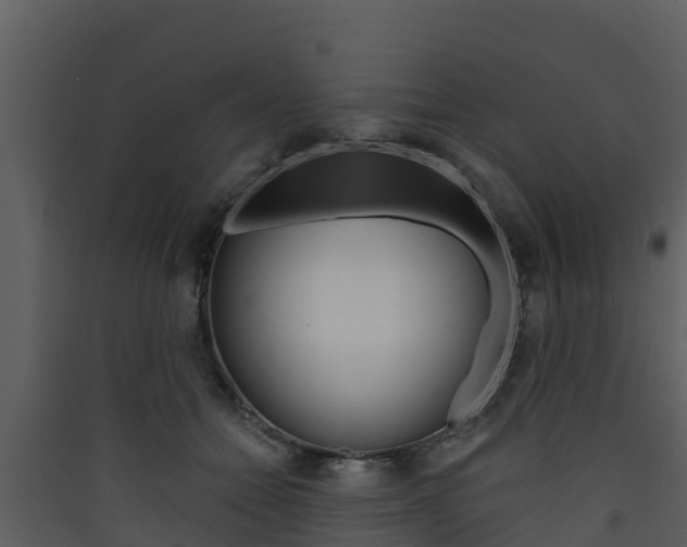 X0000090420558200707130949