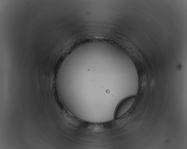X0000090420559200707130949
