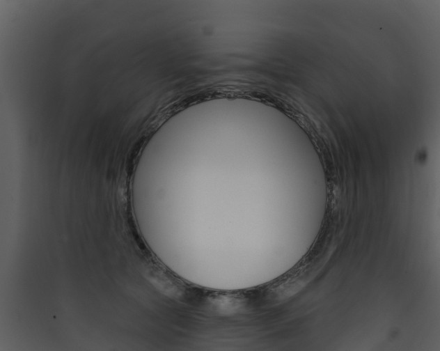 X0000090420561200707130949