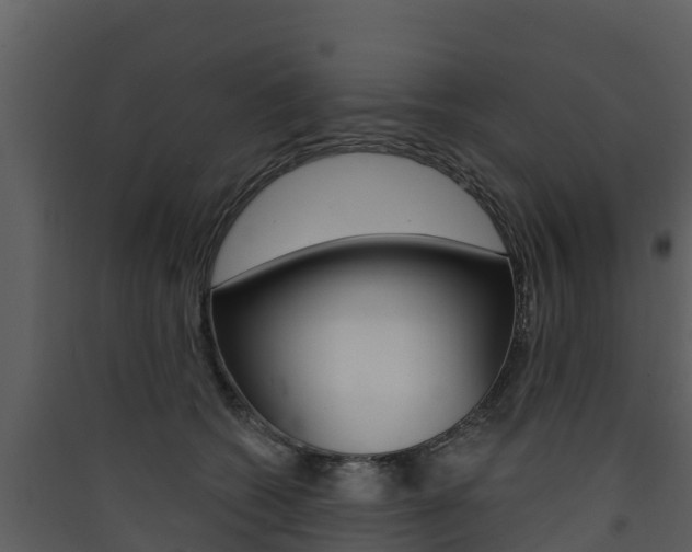 X0000090420562200707130949