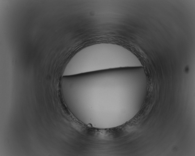 X0000090420565200707130949