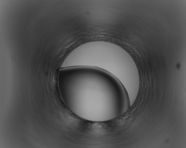 X0000090420566200707130949