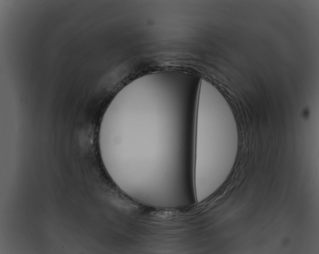 X0000090420567200707130949