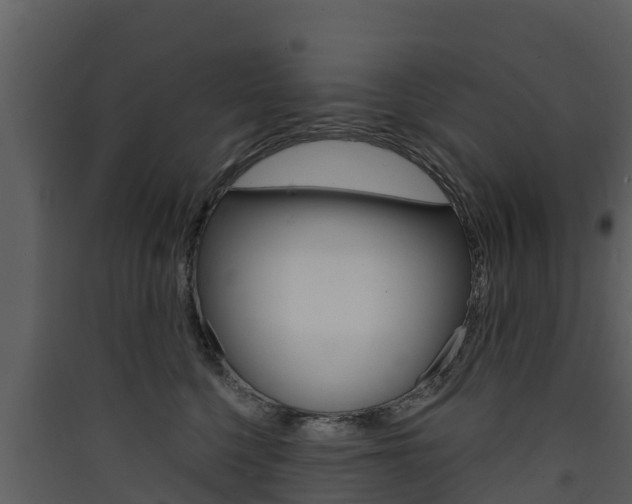 X0000090420568200707130949