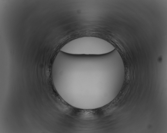 X0000090420569200707130949