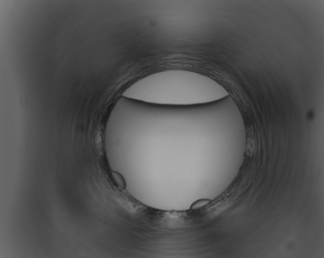 X0000090420573200707130949