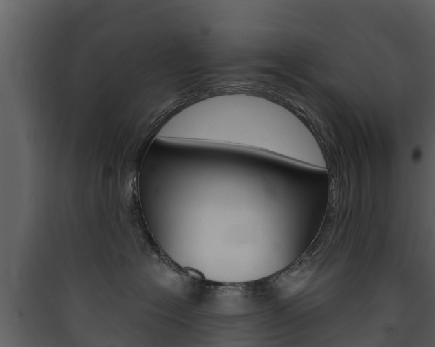 X0000090420574200707130949