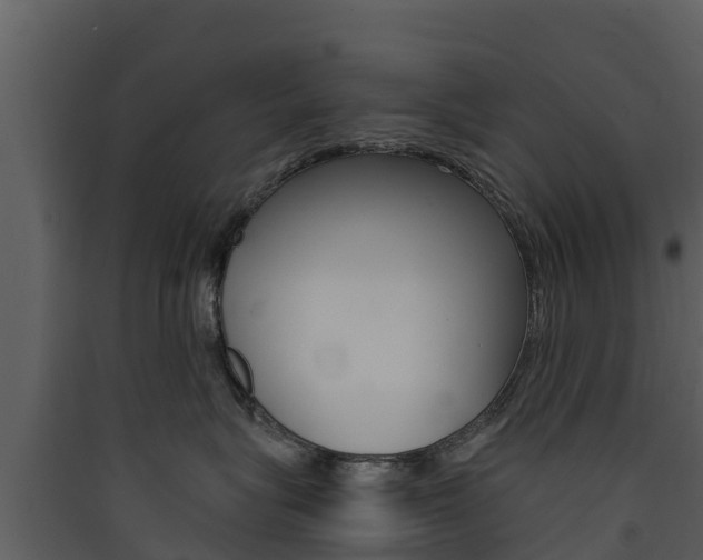 X0000090420575200707130949