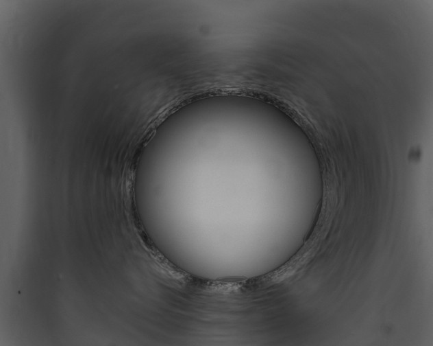 X0000090420576200707130949