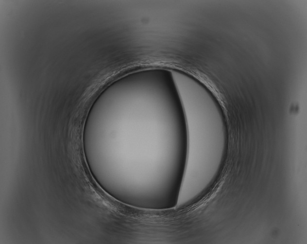X0000090420577200707130948