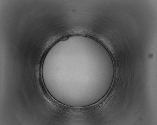 X0000090420578200707130948