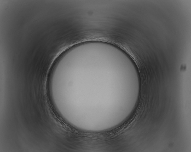 X0000090420579200707130948