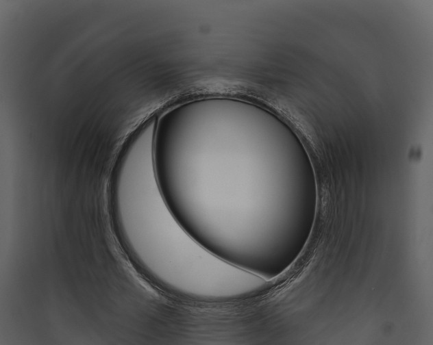 X0000090420581200707130948