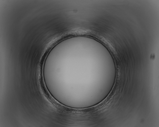 X0000090420582200707130948