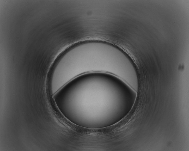 X0000090420584200707130948