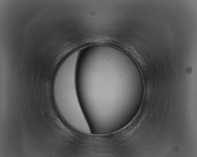 X0000090420585200707130948