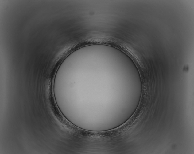 X0000090420586200707130948