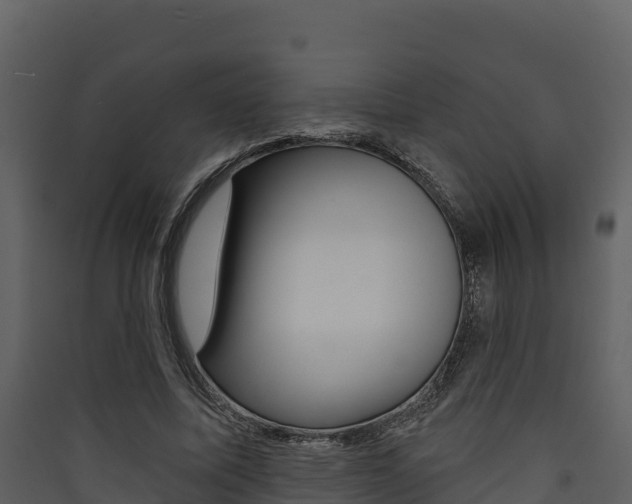 X0000090420587200707130948