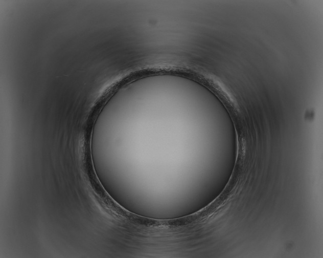 X0000090420588200707130948