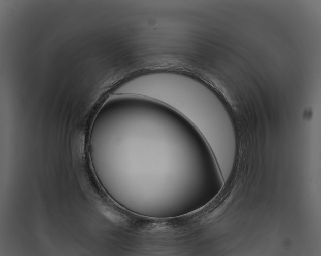 X0000090420589200707130948