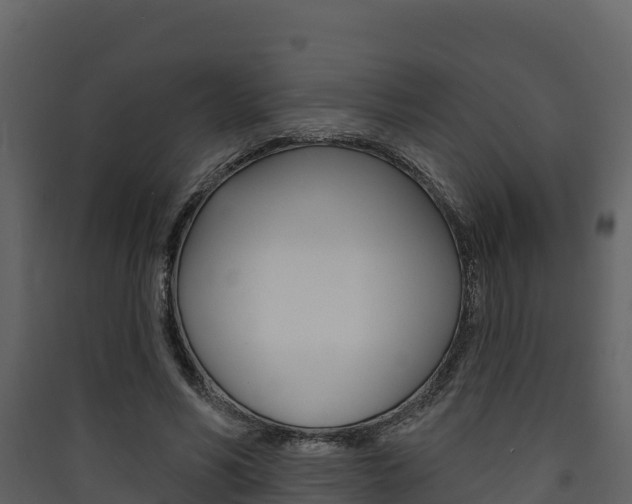 X0000090420590200707130948