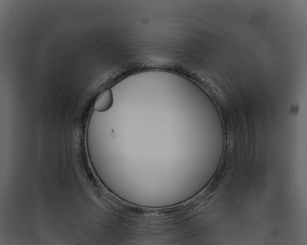 X0000090420591200707130948