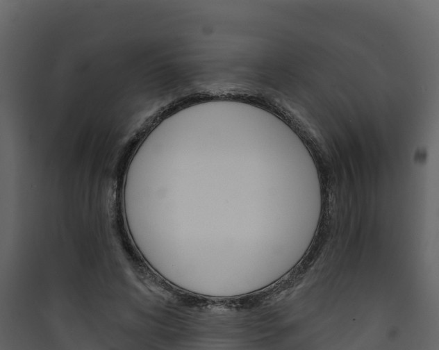X0000090420592200707130948
