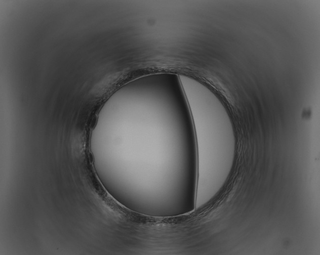 X0000090420593200707130948