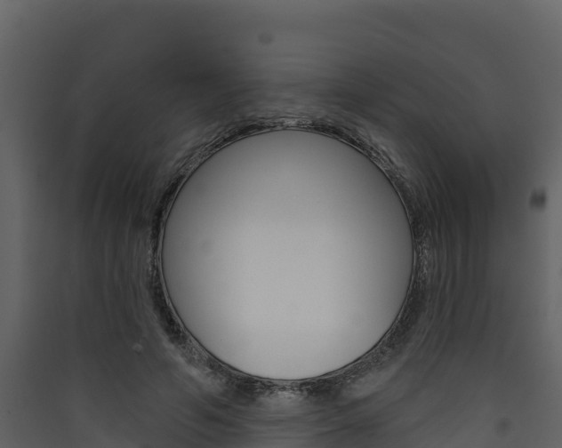X0000090420594200707130948