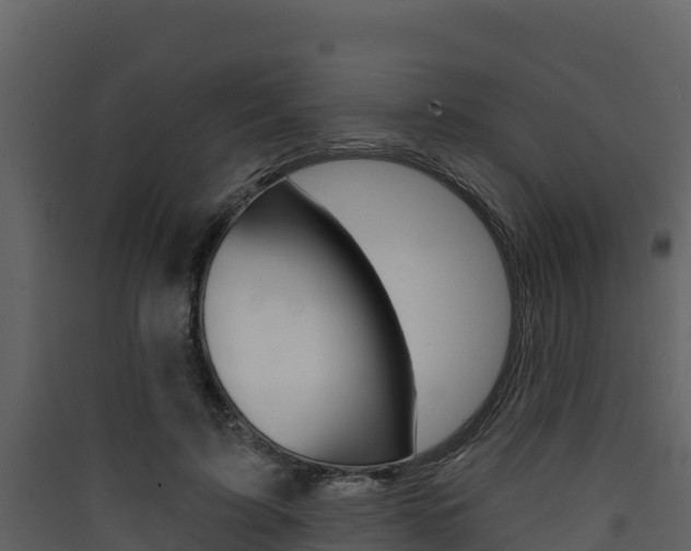 X0000090420595200707130948