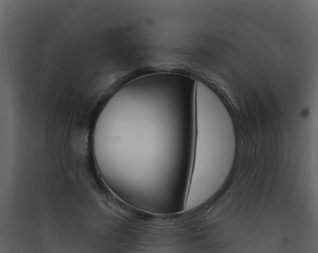 X0000090420596200707130948