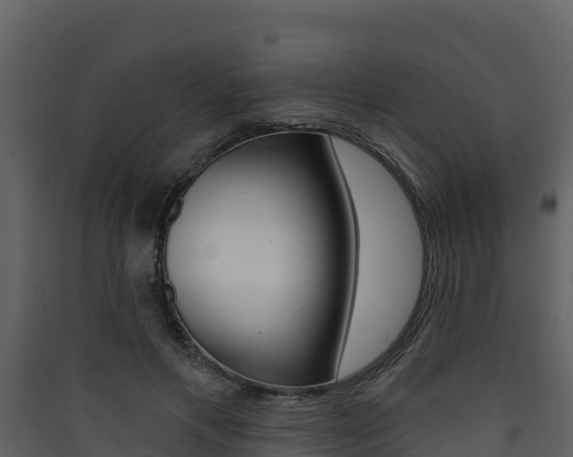 X0000090420597200707130948