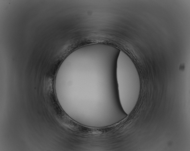 X0000090420598200707130948