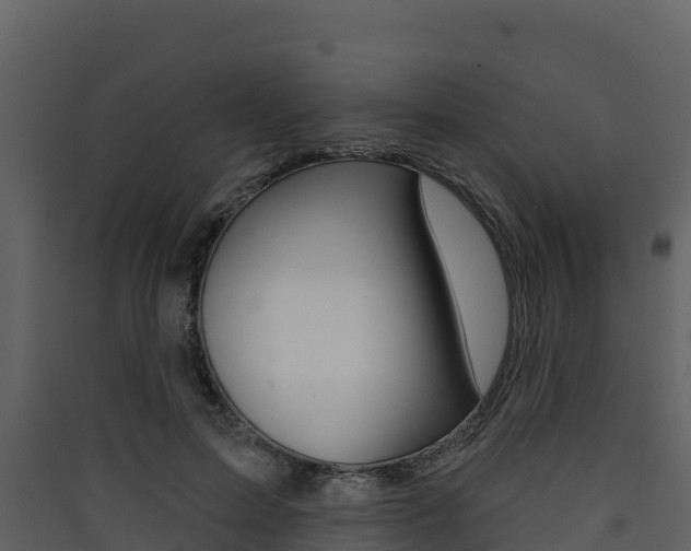 X0000090420599200707130948