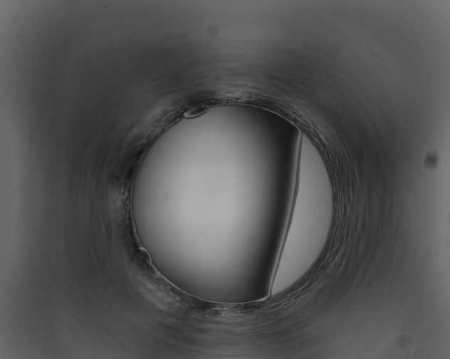 X0000090420601200707130948