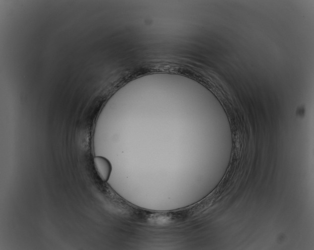X0000090420602200707130948
