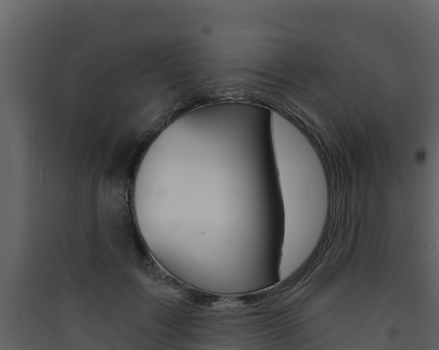 X0000090420603200707130948