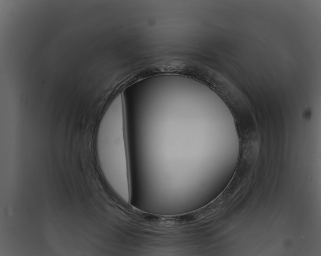 X0000090420604200707130948