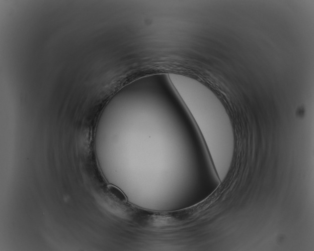 X0000090420605200707130948