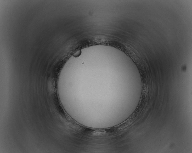 X0000090420606200707130948